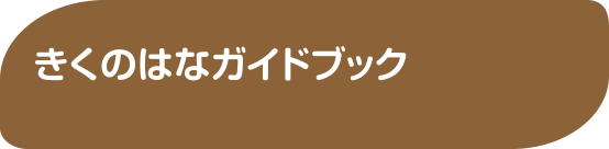 きくのはなガイドブック